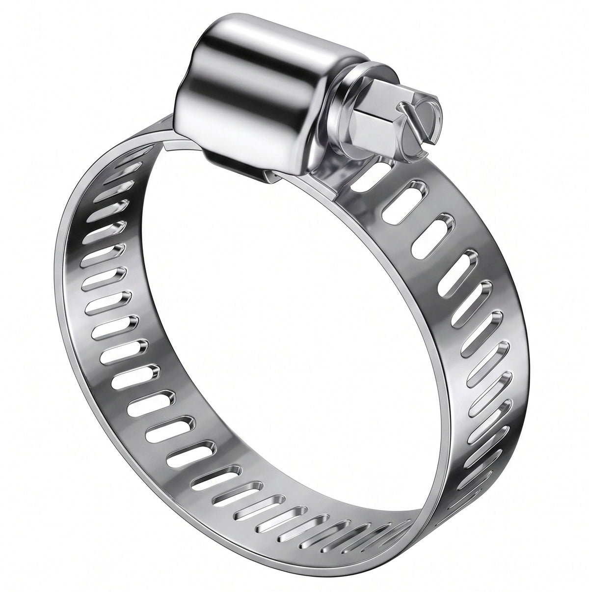 Hose Clips 12pcs Stainless Steel 304 Adjustable Jubilee style Clamps